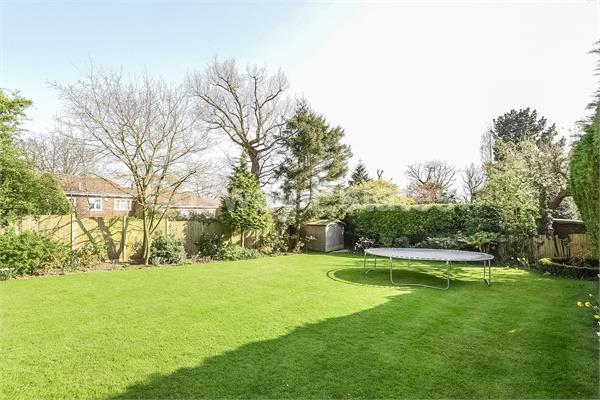 Engel Park, Mill Hill